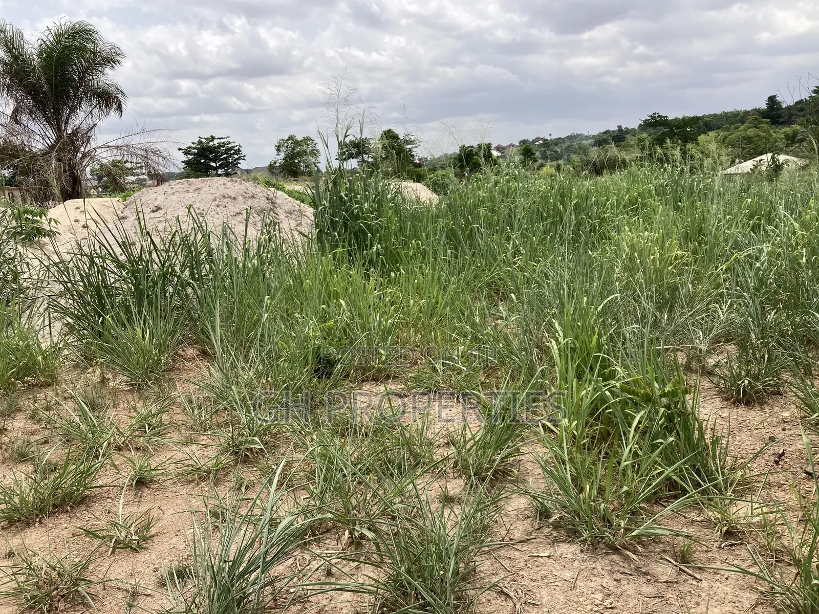 Two Plots for Sale at Trede Area.