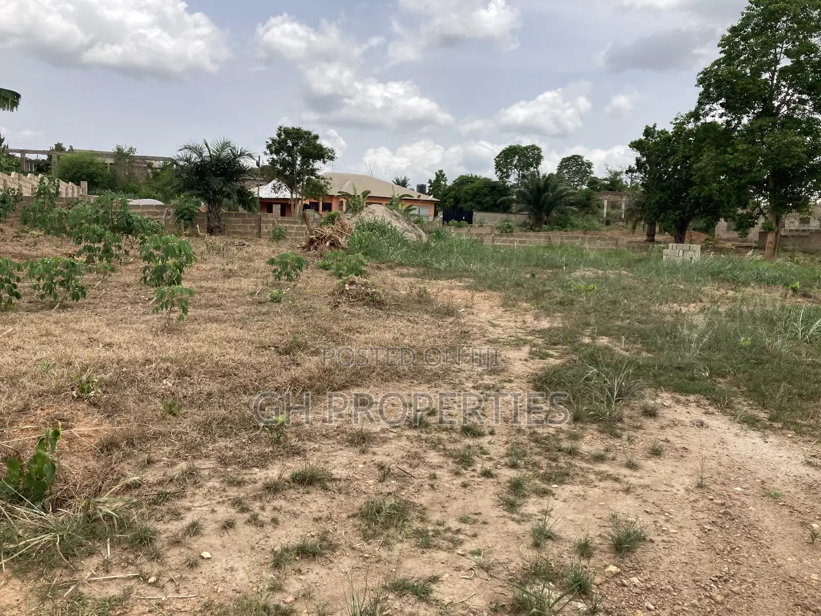 Two Plots for Sale at Trede Area.