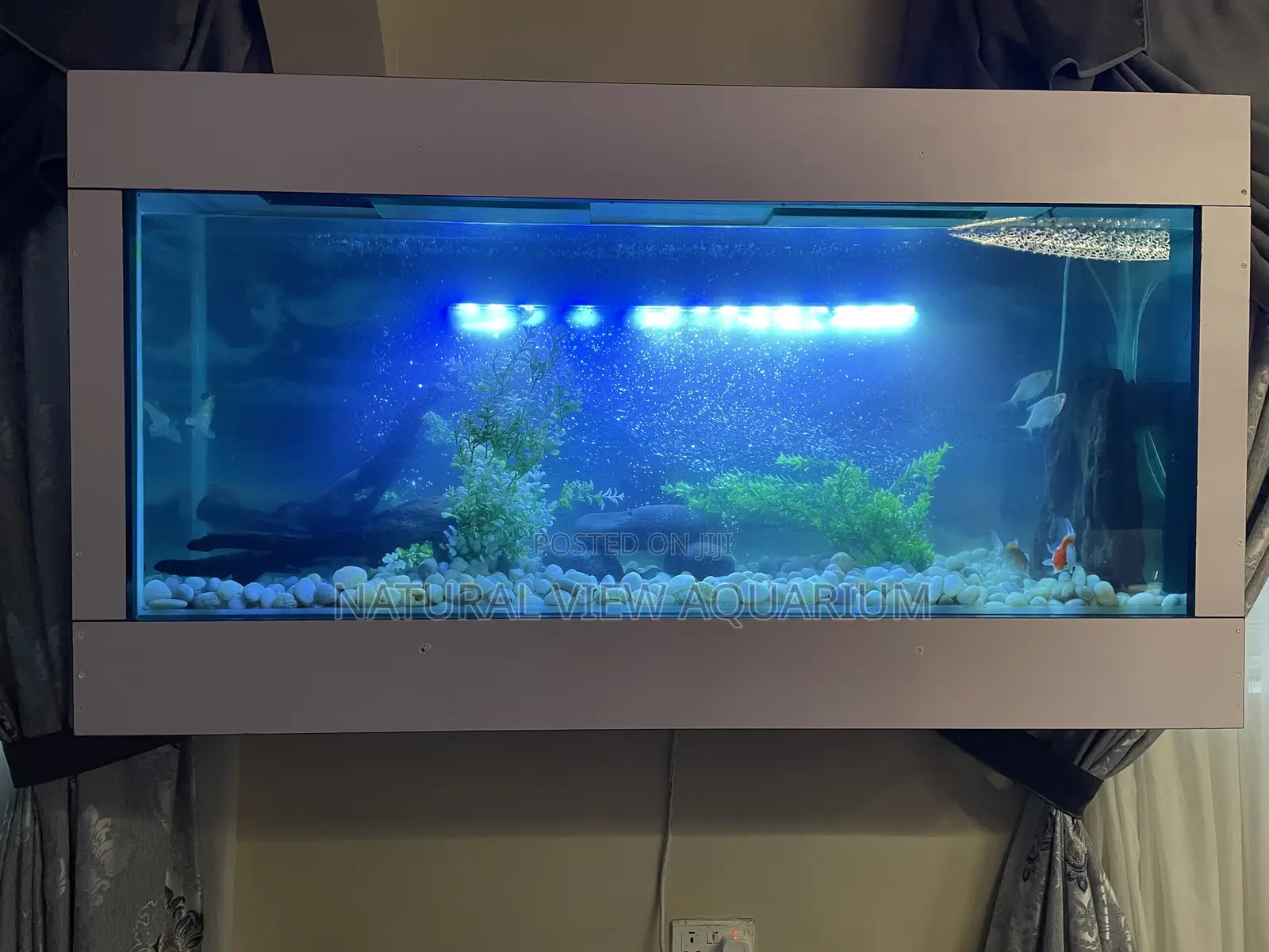 Wall Mount Aquarium