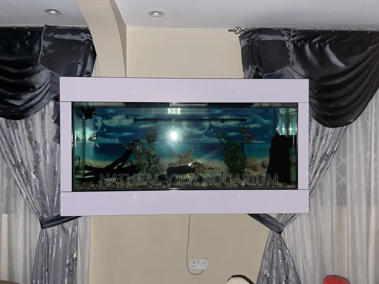 Wall Mount Aquarium