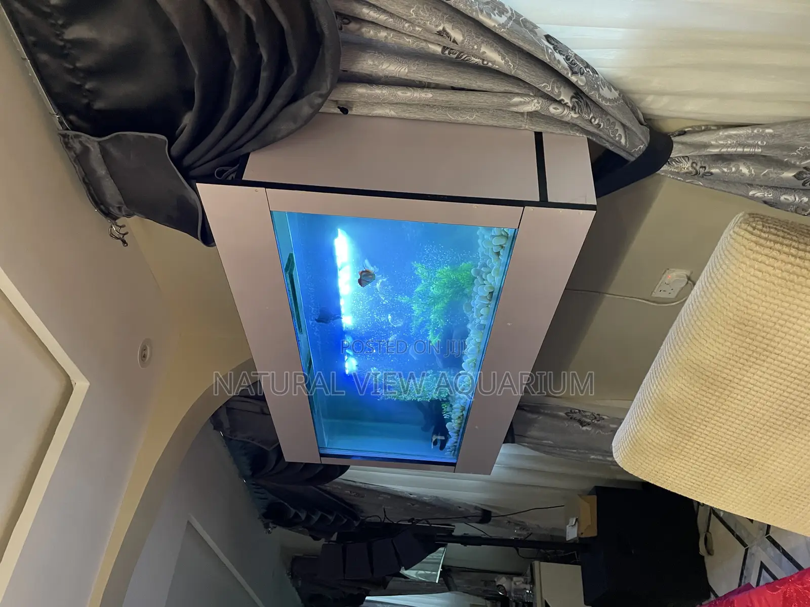 Wall Mount Aquarium