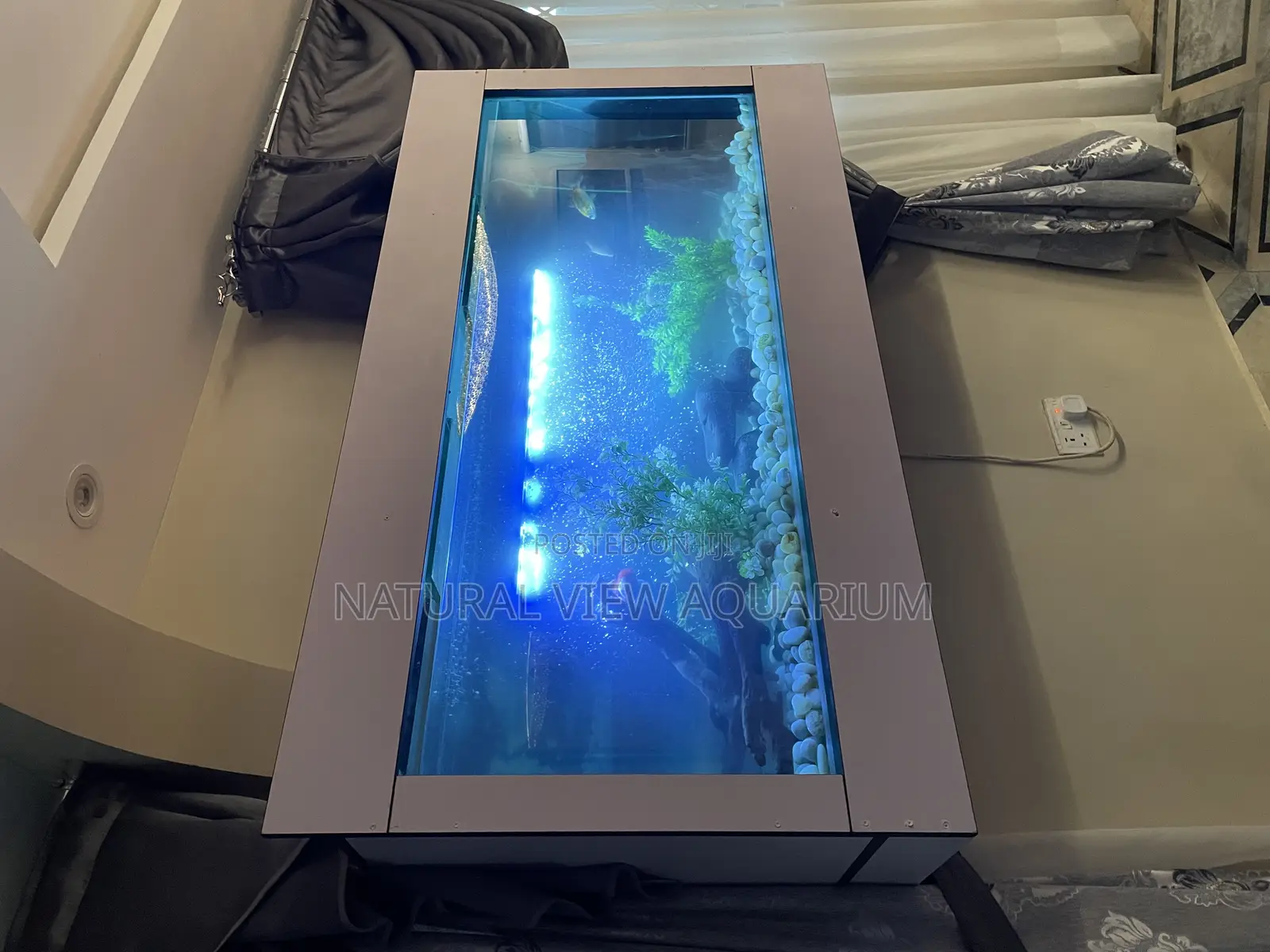 Wall Mount Aquarium