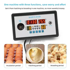 Intelligent Incubator Controller