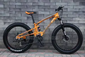 26 Inch Fat Tire Mountain Bike Double Disc Brake