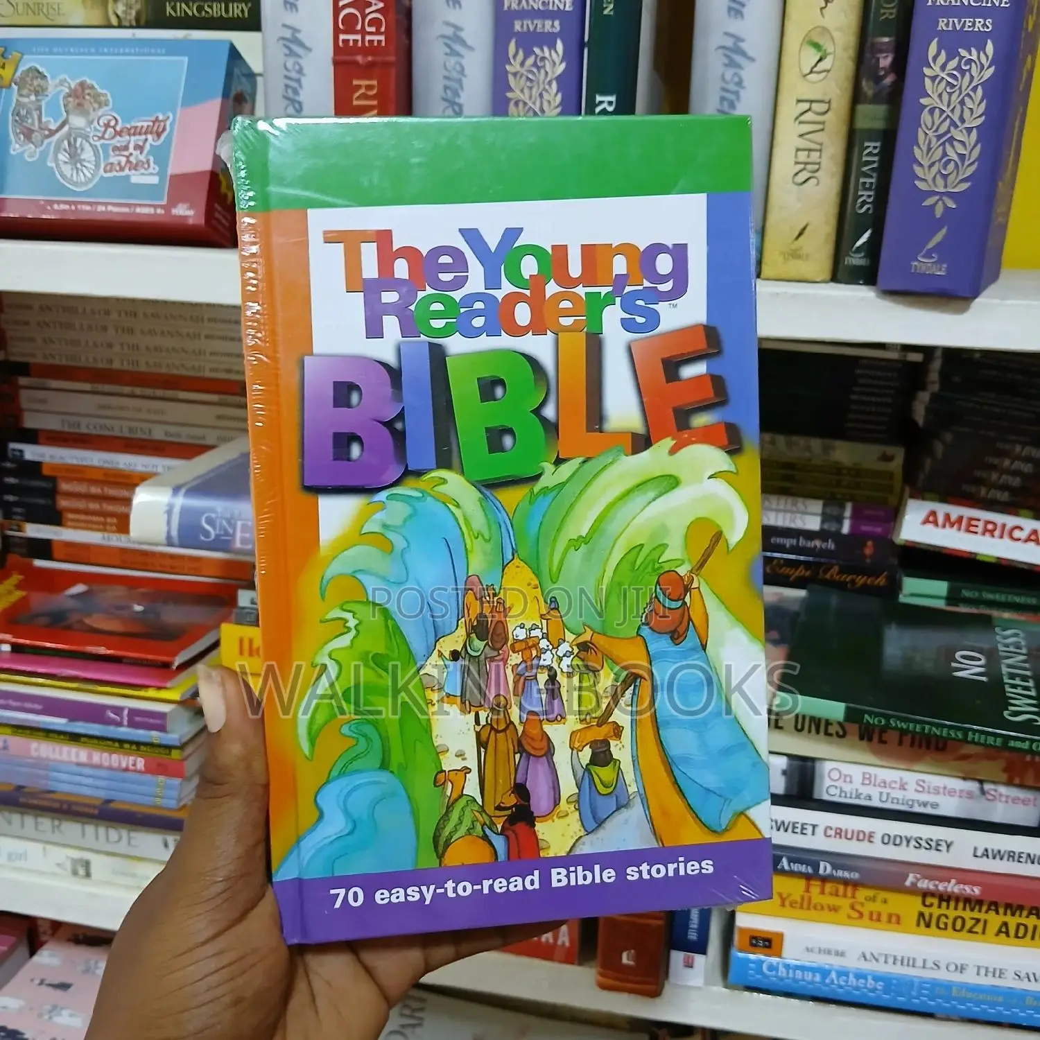 The Young Readers Bible