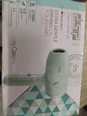 Mini Hair Dryer