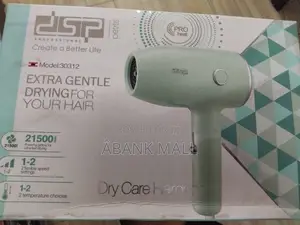 Mini Hair Dryer