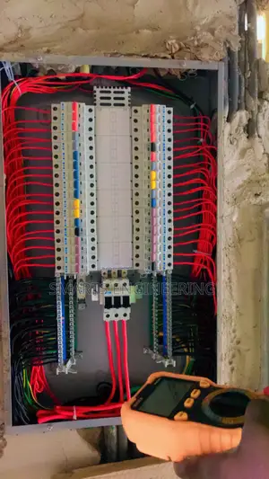 Professional Electrician
