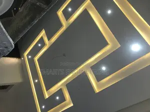 Professional Electrician