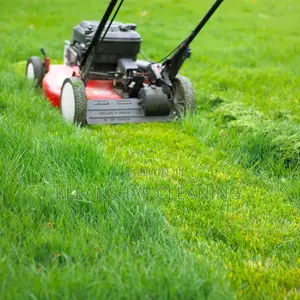 Kleanshap Lawn Mowing