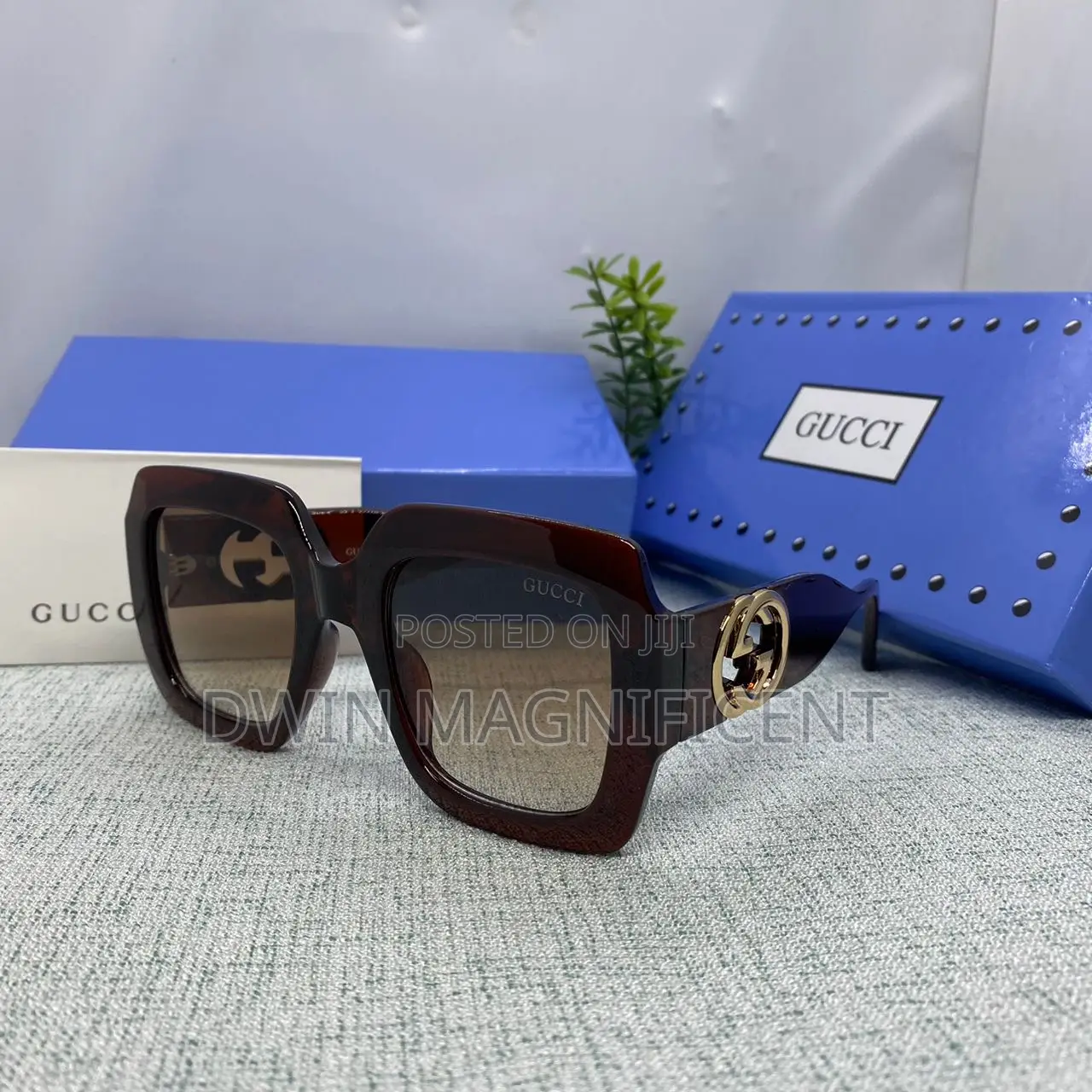 First Rate Gucci Glasses
