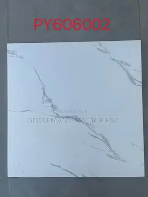 Polish Porcelain 60/60