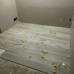 Professional Tiller