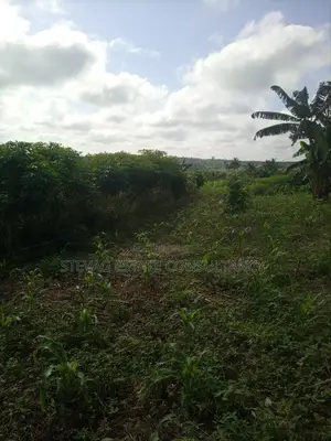 Alpha Land for Sale at Gomoa Buduatta