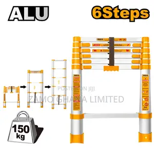 Telescopic Ladder - Hlad08061
