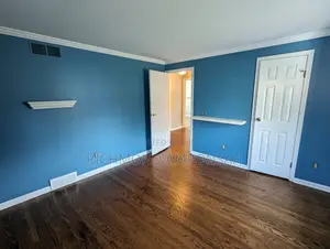 Professional Painter
