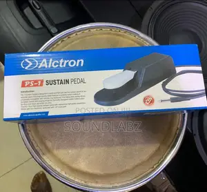 Alctron Ps-1 Metal Universal Sustain Pedal, Realism Pedal