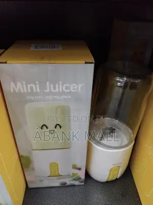 Mini Juicer