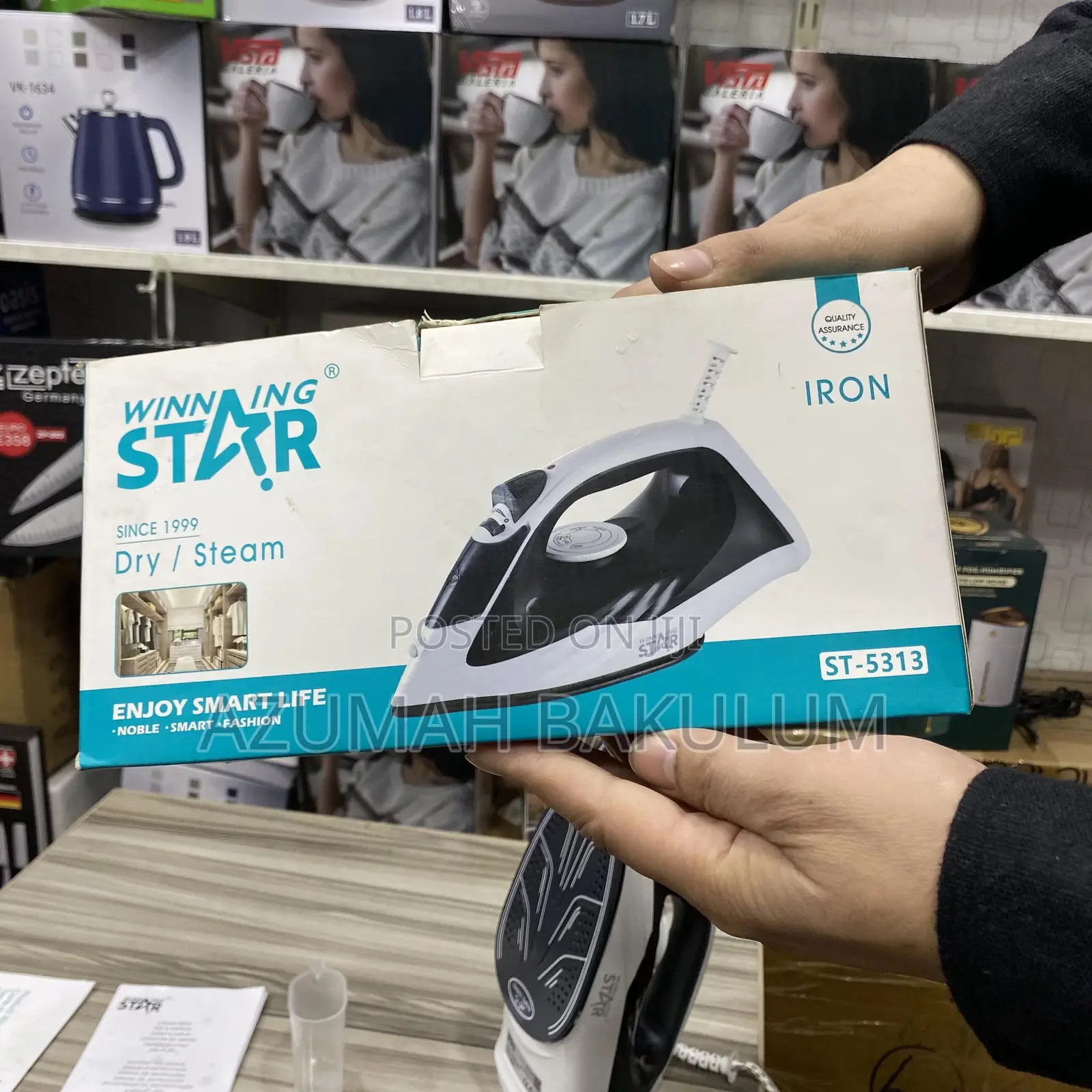 Winning Star Electric Steam Iron