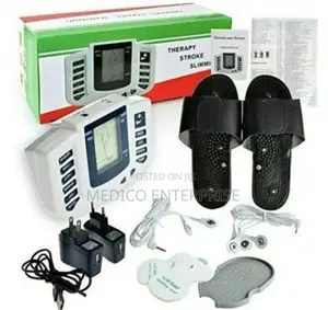 Electronic Pulse Massager