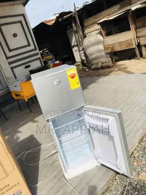Quality Nasf2-13fl Double Door Electric Refrigerator(Gray).