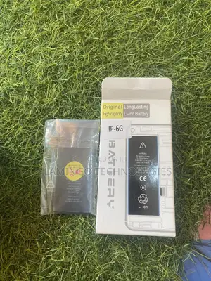 iPhone 6 Battery