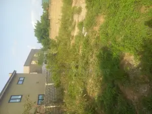 6 Shops Built in Front of a Full Plot, Millennium- Kasoa