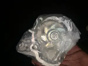 Suzuki Alto Water Pump