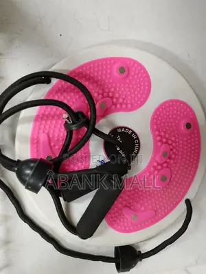 Waist Twist Disc