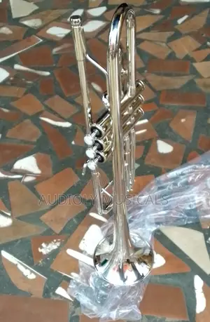 Titanic Professional Silver Trumpet