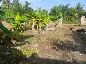2 Plots of Land for Sale at West Legon