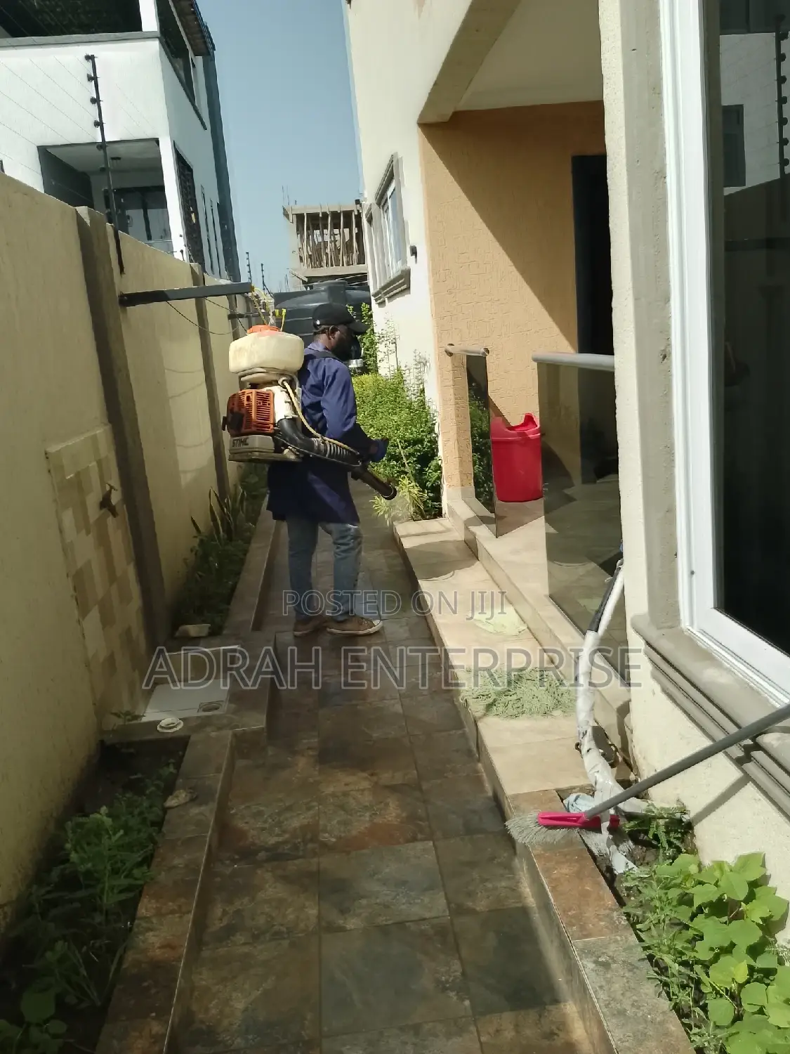 Bedbugs Fumigation Service