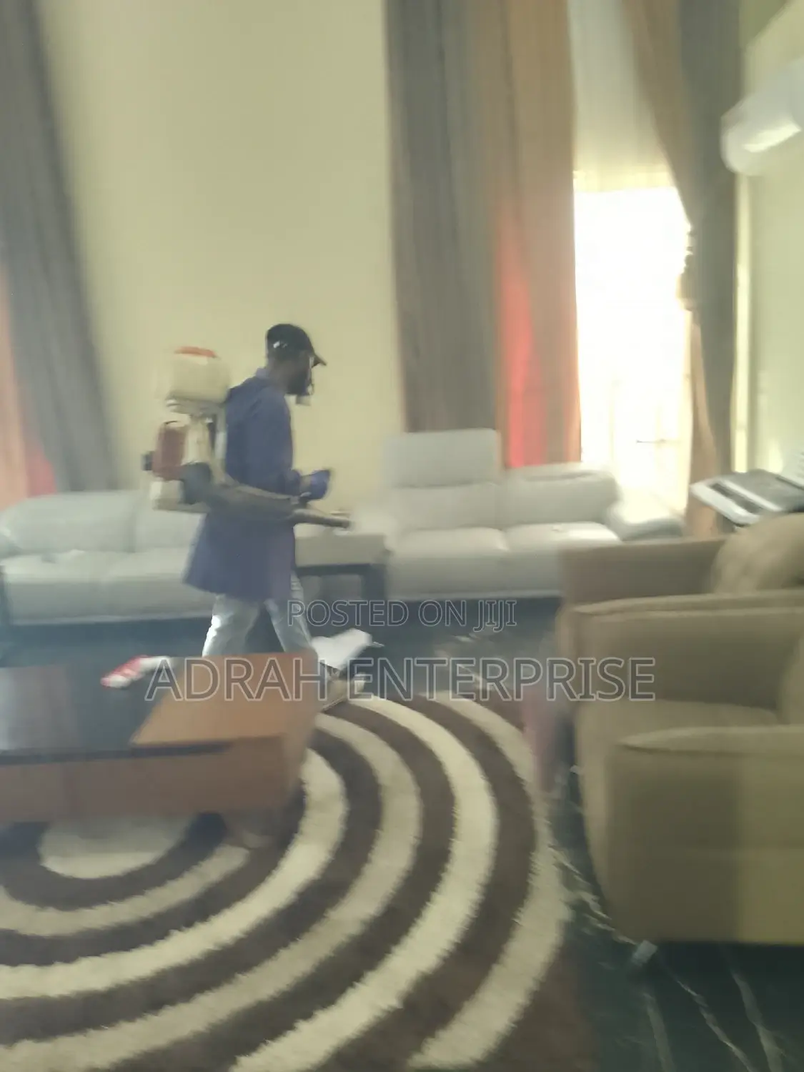 Bedbugs,Lizard, Mosquitoes, Replied Fumigation Service