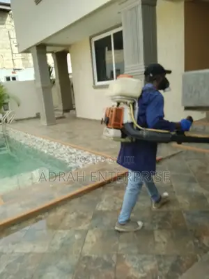 Bedbugs Lizard, Mosquitoes Cockroach Fumigation Service