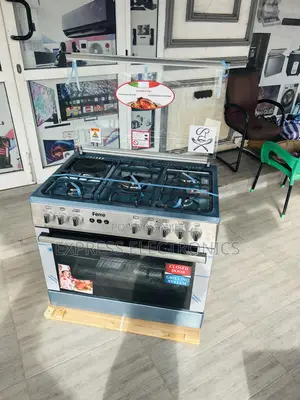 4-1 Stove Gas Electric Sliver 60/90 Best Ferre Stove I