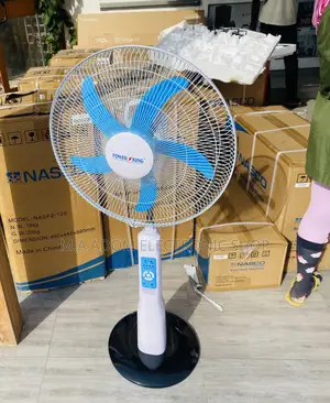Newly in Stock Power King Rechargeable Electric Standing Fan