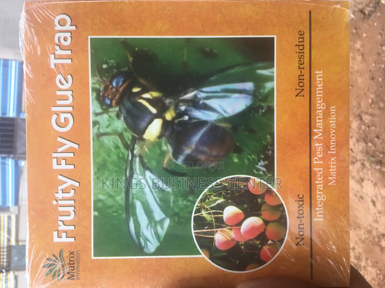 Fruit Fly Glue Trap