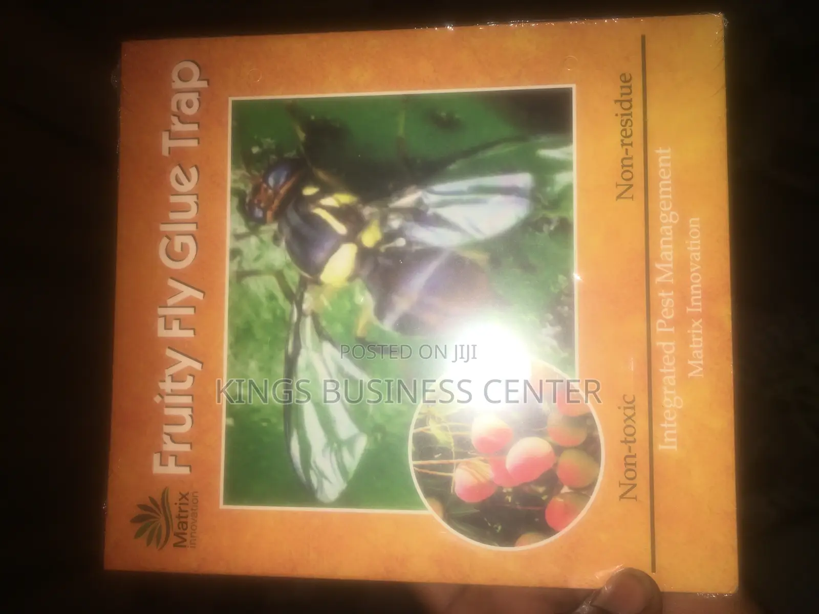 Fruit Fly Glue Trap