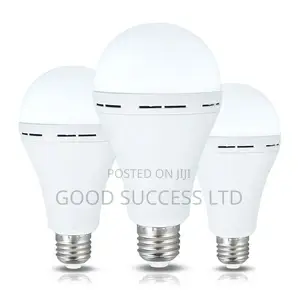 30W Rechargeable LED Bulb