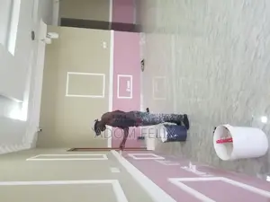 Professional Painters
