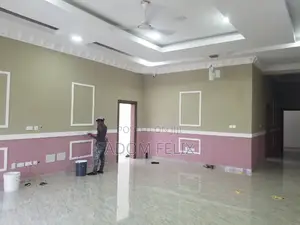 Professional Painters