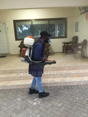 Bedbugs Professional Fumigation Service