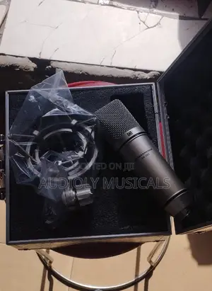 Sennheiser SN303 Studio Condenser Microphone
