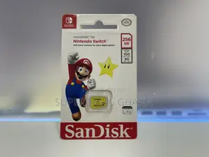 256 GB Micro SD Card