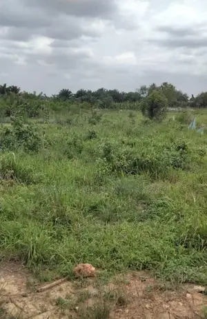 110 X120 Ft Plot of Land for Sale at Roman Ridge