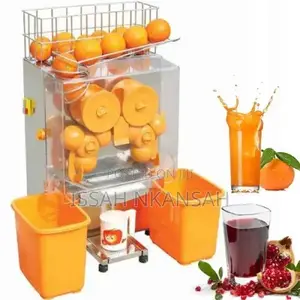 Commercial Orange Juicer