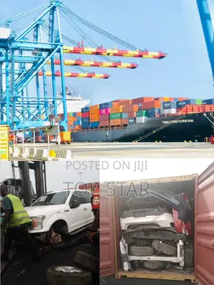 Professional Customs Clearing Agency (Tema)