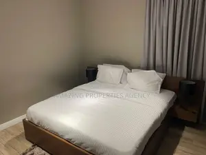 Furnished 3bdrm Apartment in Cantonments for rent