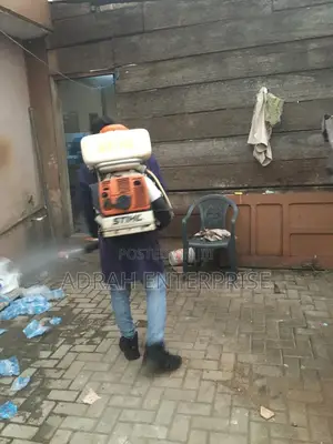Good News Fumigation Against Insects and Replied
