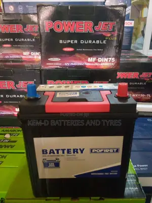 11 Plates Pofirst Batteries
